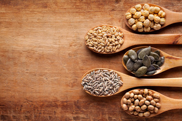 Grains, cereals and seed in wooden spoons. Oat, wheat, rye, secale, chickpea, soya. Flat lay.