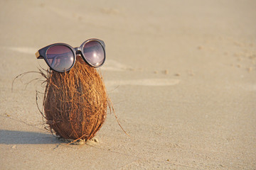 A brown coconut with sunglasses, on the beach and on the sea, against the background of sand. Asian...