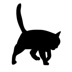  isolated, icon, silhouette cat