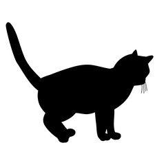  isolated, icon, silhouette cat