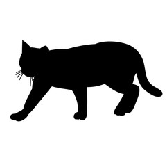 silhouette cat, icon
