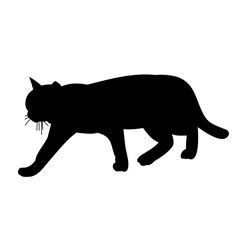 isolated, icon, silhouette of a cat is coming