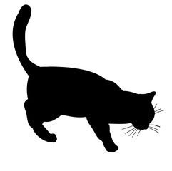 icon, silhouette cat