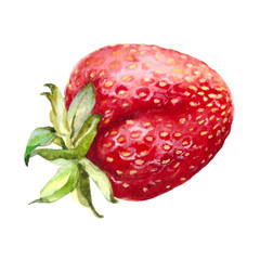 watercolor art strawberry