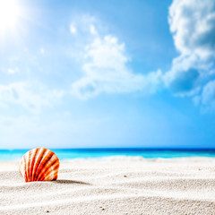 Fototapeta na wymiar Summer background of shell on sand and free space for your decoration. Sunny day time and blue sky . 