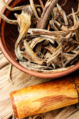 Medicinal root inula