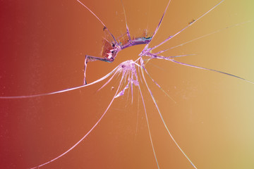 Broken sunset glass window