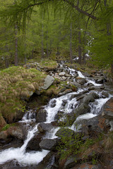 Small waterfall of a creek downhill to the Gran Paradiso National Park