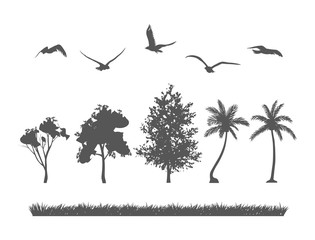 Silhouette of forest tree, birds and grasses