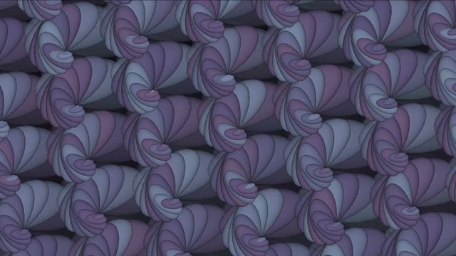 4k Abstract conch shell pattern background.biology microbiology fractals geometric design backdrop.
