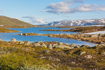 Magnificent view of a mountain plateau Hardangervidda with numerous lakes and rivers in summer time on snow mounts background, Norway national park