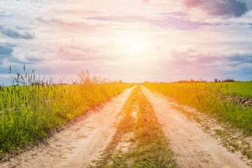 Road passing through the field on a sunny day