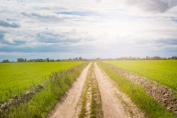 Road passing through the field on a sunny day
