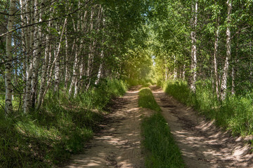 Fototapeta na wymiar The sunny road passing through the forest