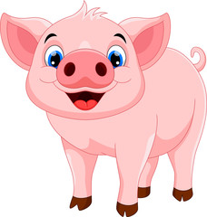 Vector illustration of cute pig cartoon isolated on white background 