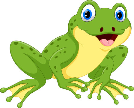 Vector illustration of cute frog cartoon isolated on white background