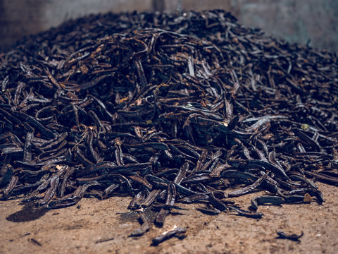 Carob factory