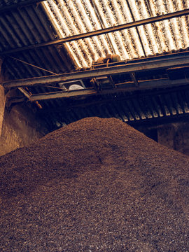 Carob factory