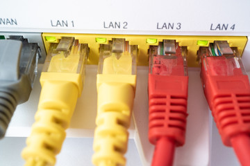 in each port a cable, a home router for access to the Internet and a cable of different color