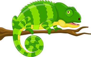 Vector illustration of cartoon green chameleon isolated on white background