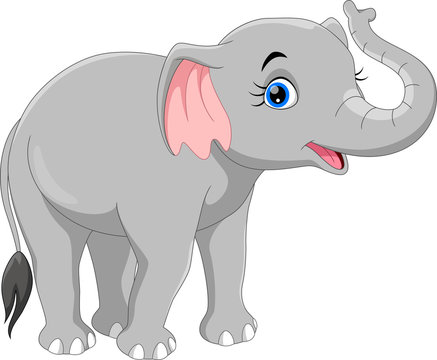 Vector illustration of cute baby elephant cartoon isolated on white background