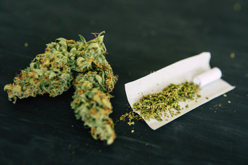 Cannabis crushed weed Joint weed Macro of cannabis buds marijuana with trichomes and crushed weed...