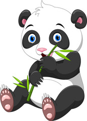 Obraz premium Cute baby panda z bambusa na białym tle