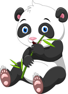 Cute baby panda with bamboo isolated on white background