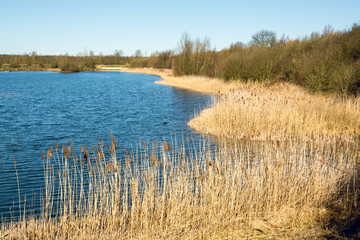 Dry tall grass on the bank of a lake in early Spring on sunny day - seasonal nature background 