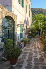 Fototapeta na wymiar The view of the street, island Ischia, Italy.