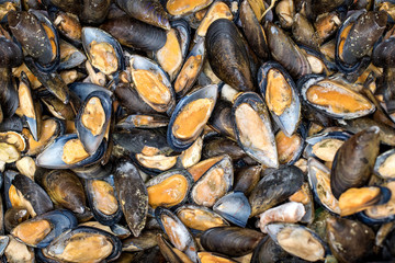 Fresh mussels  in the fish market or shop or supermarket. Brown orange mussels abstract background and texture. Seafood on ice.