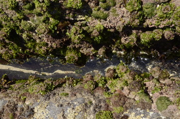 Beach rock Channel stream 