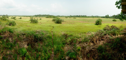 Assagny National Park or Azagny National Park i in Côte d'Ivoire