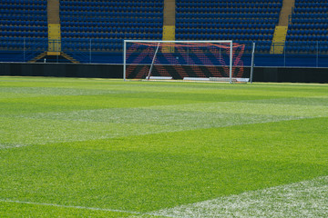 Obraz premium On the stadium. Soccer ball on green arena