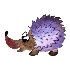 Cute watercolor hand painted hedgehog isolated on white