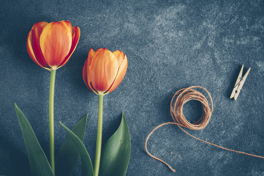 Two tulips, string and clothes peg