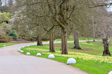 park in Virginia Water uk