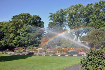 Botanical garden looking like a paradise with the water painting a rainbow in the sunlight.