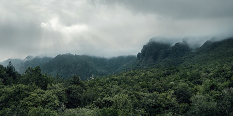Fototapeta na wymiar Aerial, panoramic view of a forest in the mountains on a foggy day with copy space