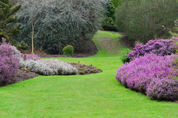 The Valley Garden England