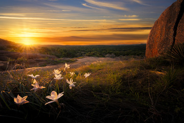 Fototapeta premium Sunrise on Enchanted Rock