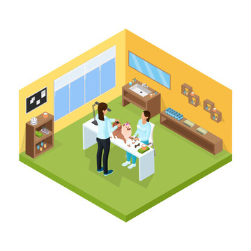 Isometric Pet Grooming Salon Template