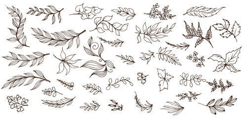 Hand sketched vector vintage elements.Wild and free. Perfect for invitations, greeting cards, quotes, blogs, Wedding Frames, posters.silhouette of elements