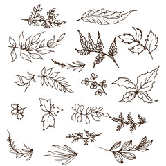 Fototapeta premium Hand sketched vector vintage elements.Wild and free. Perfect for invitations, greeting cards, quotes, blogs, Wedding Frames, posters.silhouette of elements