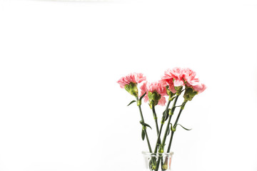 Naklejka na ściany i meble Carnations, happy mother's day, greeting cards
