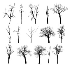 Obraz premium vector black silhouette of a bare tree