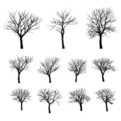 Obraz premium vector black silhouette of a bare tree