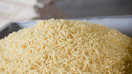 Raw macaroni from a conveyor belt at the pasta manufactury
