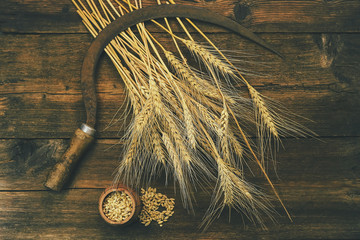 wheat ears, old sickle and on a wooden background
