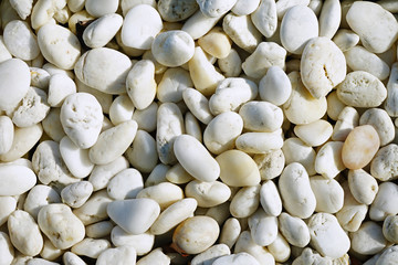 White stone  decorate floor garden 